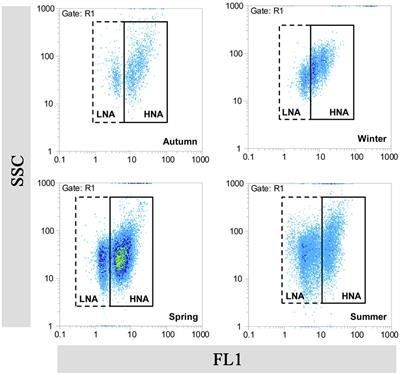 Characteristics, Biodiversity, and Cultivation Strategy of Low Nucleic Acid Content Bacteria